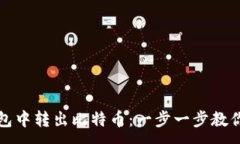 :如何从钱包中转出比特币