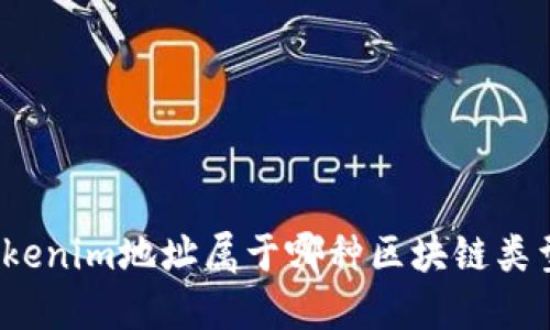 Tokenim地址属于哪种区块链类型？