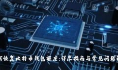 如何恢复比特币钱包额度：详尽指南与常见问题