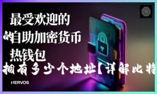 思考一个符合大众和的

一个比特币钱包可以拥有多少个地址？详解比特币地址的生成与管理