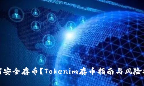 如何安全存币？Tokenim存币指南与风险挑战