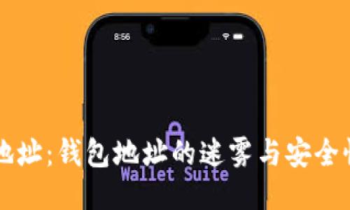比特币地址：钱包地址的迷雾与安全性的探索