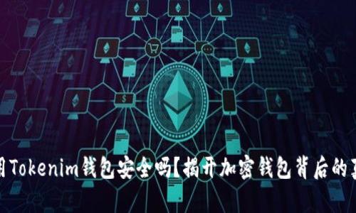 使用Tokenim钱包安全吗？揭开加密钱包背后的真相