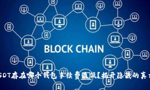 “USDT存在哪个钱包手续费最低？揭开隐藏的真相！”