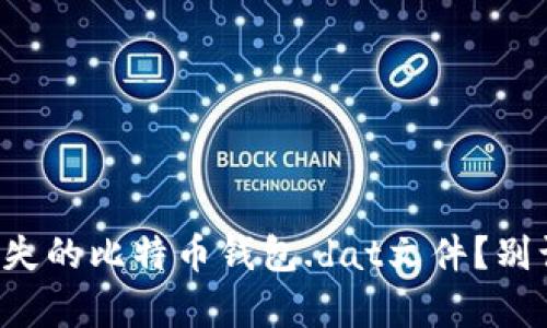 如何轻松恢复丢失的比特币钱包.dat文件？别让财富消失无踪！