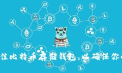 如何选择最佳比特币存储