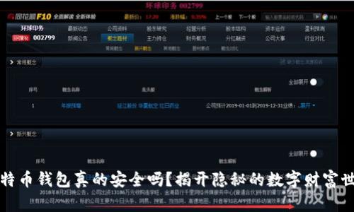 比特币钱包真的安全吗？揭开隐秘的数字财富世界