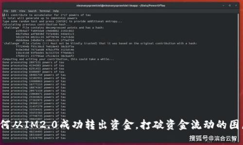 如何从IM2.0成功转出资金，打破资金流动的困局！