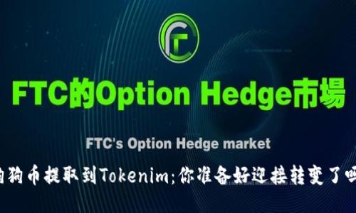 “狗狗币提取到Tokenim：你准备好迎接转变了吗？”