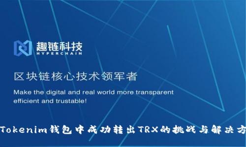从Tokenim钱包中成功转出TRX的挑战与解决方案