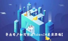 华为用户如何突破TokenIM更
