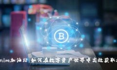 Tokenim加油站：如何在数字