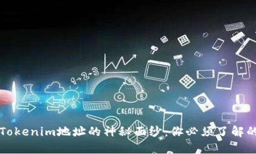 揭开Tokenim地址的神秘面纱：你必须了解的真相