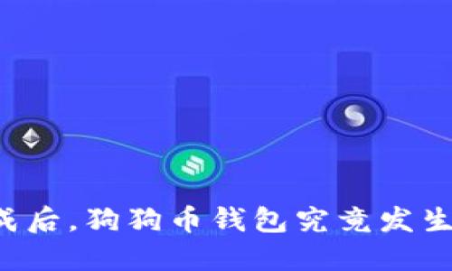 同步完成后，狗狗币钱包究竟发生了什么？