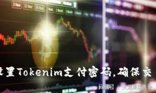 如何设置Tokenim支付密码，确保交易安全