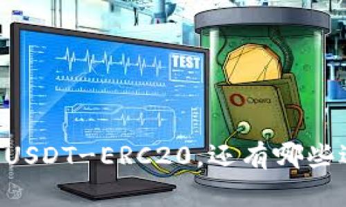 Tokenim：除了USDT-ERC20，还有哪些选项可供选择？