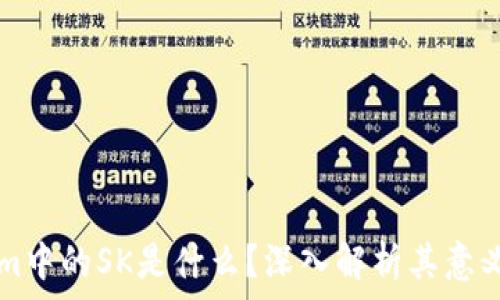   
Tokenim中的SK是什么？深入解析其意义与应用