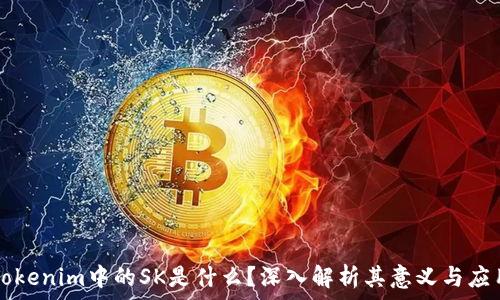   
Tokenim中的SK是什么？深入解析其意义与应用