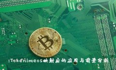 :Tokenimeos映射后的应用与前