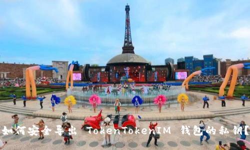 如何安全导出 TokenTokenIM 钱包的私钥？