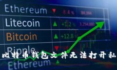 如何解决比特币钱包文件