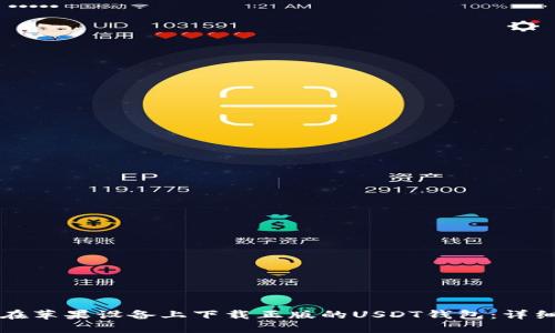 如何在苹果设备上下载正版的USDT钱包：详细指南