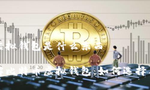 比特币虚拟钱包是什么东西

深入了解比特币虚拟钱包：如何选择与安全性