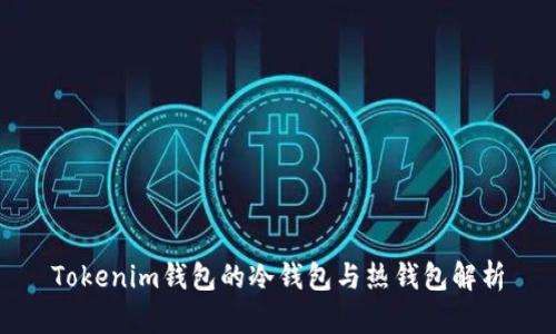 Tokenim钱包的冷钱包与热钱包解析