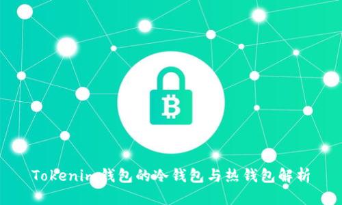 Tokenim钱包的冷钱包与热钱包解析