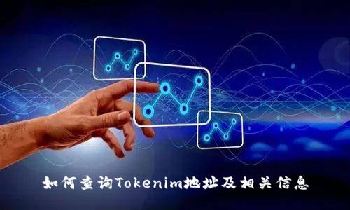 如何查询Tokenim地址及相关信息