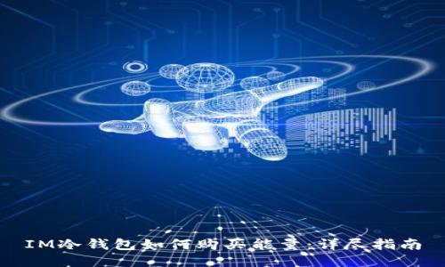 IM冷钱包如何购买能量：详尽指南