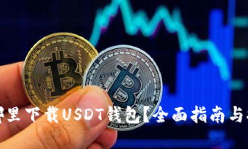 在哪里下载USDT钱包？全面指南与推荐