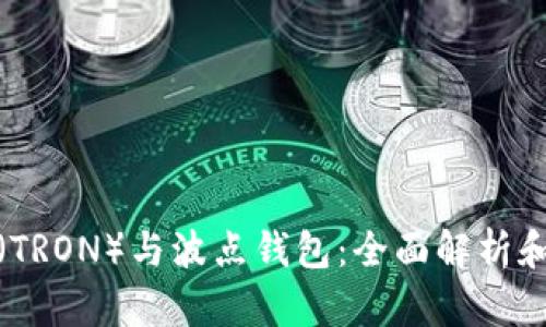 : 波场币（TRON）与波点钱包：全面解析和使用指南