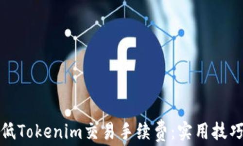 
如何降低Tokenim交易手续费：实用技巧与建议