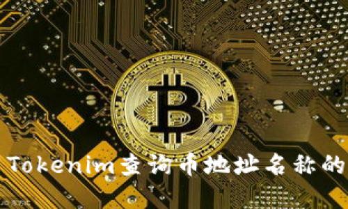 如何使用Tokenim查询币地址名称的完整指南