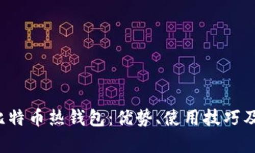  深入了解比特币热钱包：优势、使用技巧及安全性解析