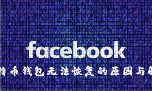 闪电比特币钱包无法恢复的原因与解决方案