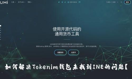 如何解决Tokenim钱包未找到INE的问题？