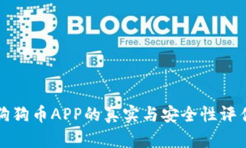 狗狗币APP的真实与安全性评估
