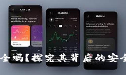  Tokenim安全吗？探究其背后的安全性与可信性