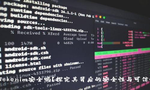  Tokenim安全吗？探究其背后的安全性与可信性