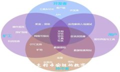 Tokenim：全面支持币安链的
