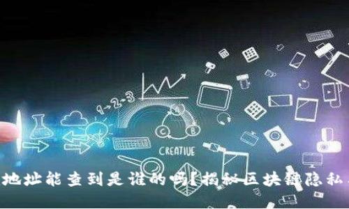 Tokenim地址能查到是谁的吗？揭秘区块链隐私与透明性