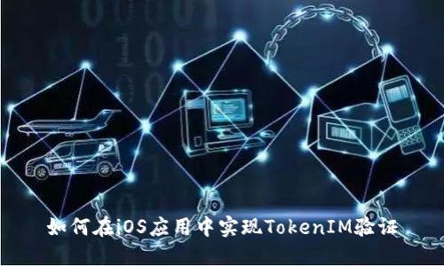 如何在iOS应用中实现TokenIM验证