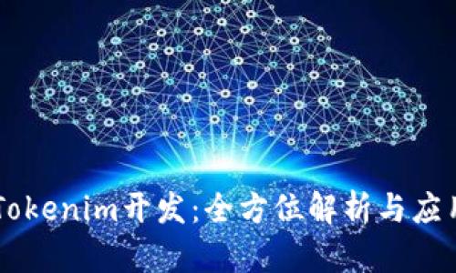 高仿Tokenim开发：全方位解析与应用指南