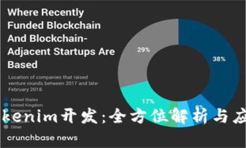 高仿Tokenim开发：全方位解析与应用指南